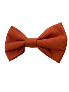 cd3e9989c9c25d733cb9cb1421042455